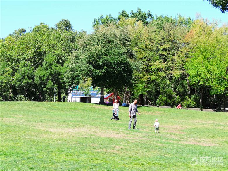 西雅图油价,西雅图油价多少钱