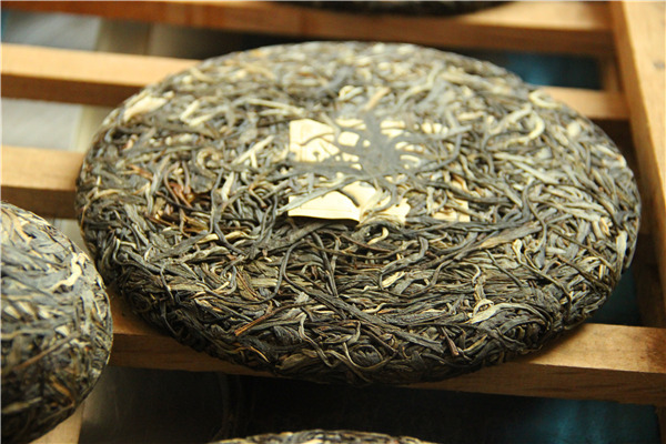 冰岛茶种的引进历史是什么,冰岛茶属于什么茶种