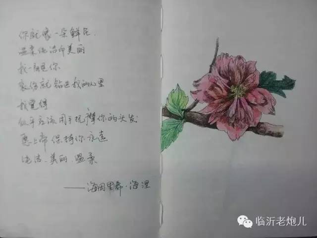 带着书本去旅行绘画,带着旅行箱去旅行绘画