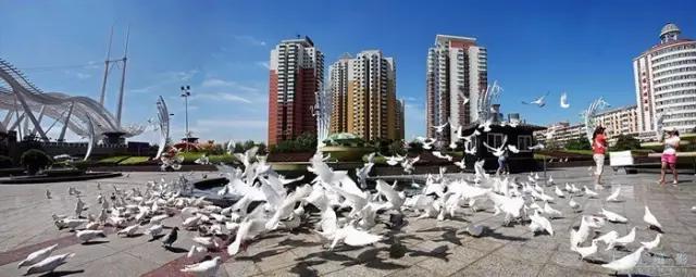 天津最值得去的公园排名榜前十,天津津南区值得游玩的公园