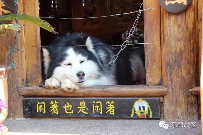 军人社团,军营集体小活动有哪些