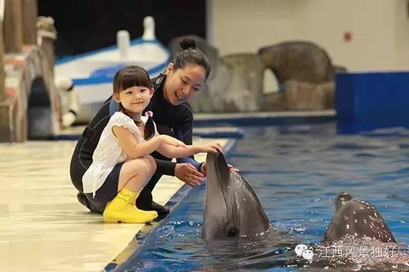 南昌万达海洋乐园在哪里,南昌万达海洋乐园主题公园