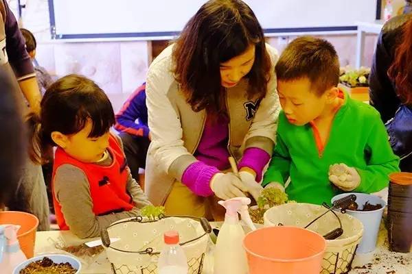 假日里我们在乐葵!你呢?