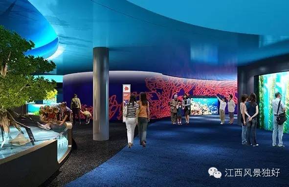 南昌万达海洋乐园在哪里,南昌万达海洋乐园主题公园