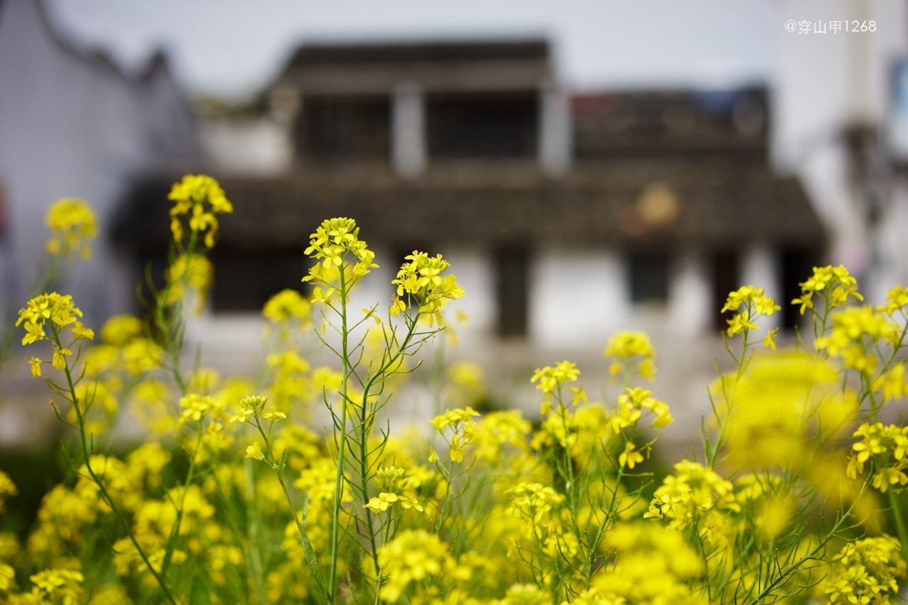 无锡农历四月二十玉祁镇庙会,三月三无锡哪个地方庙会