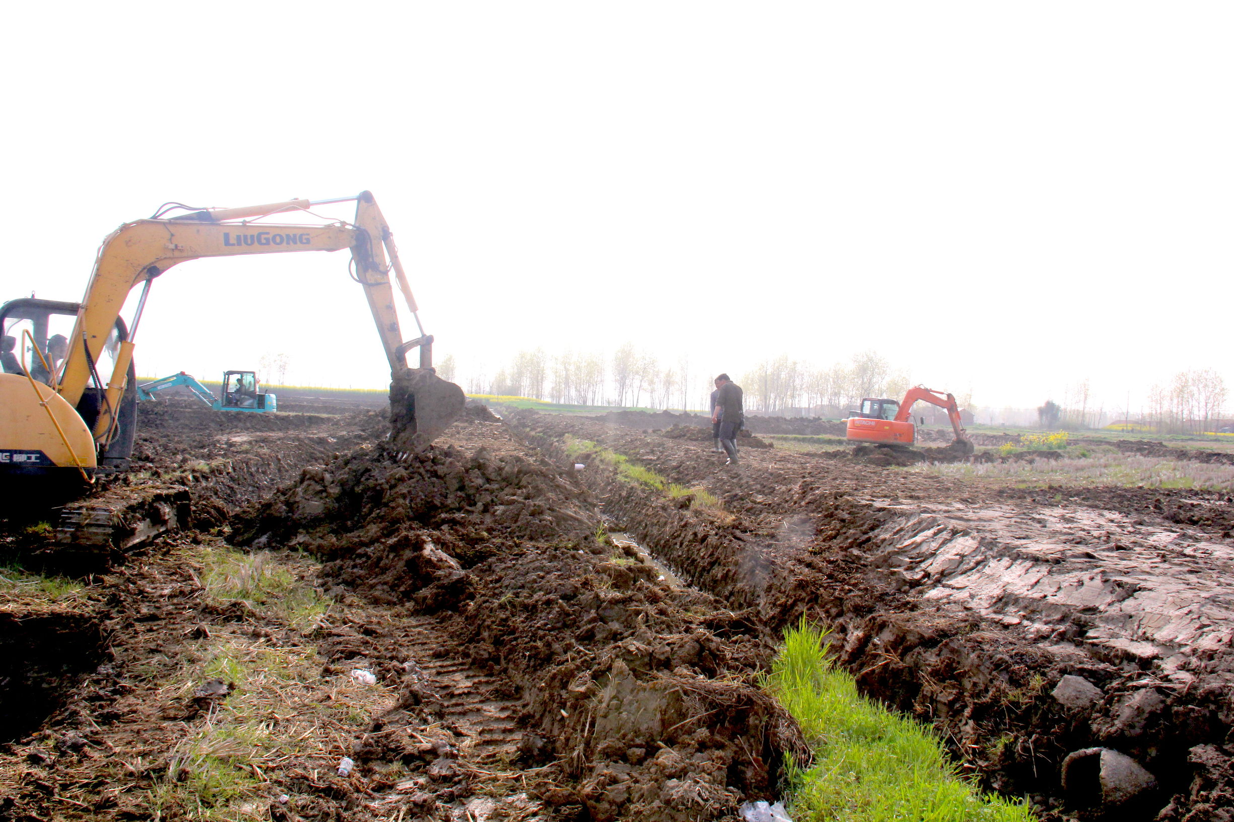 小龙虾养殖方法肥水,小龙虾精养第二茬操作方法