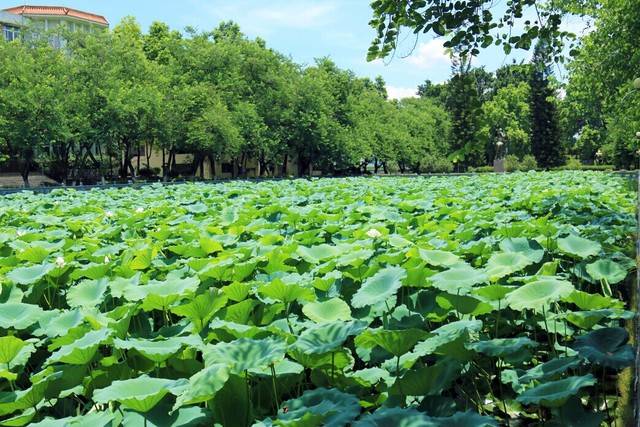 关注广东暴雨,关注广东梅州暴雨