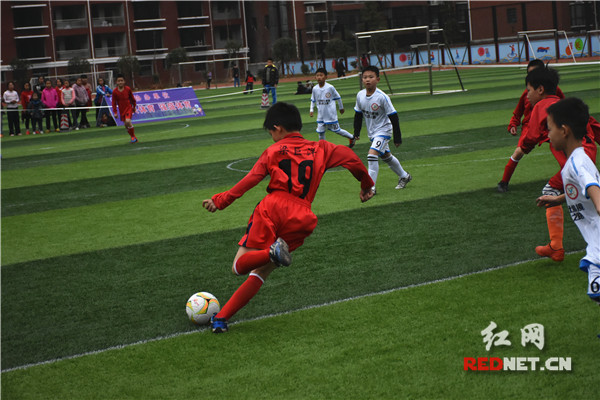 娄底足球俱乐部招人,娄底市足球队招聘