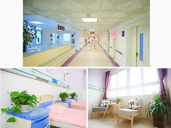 怀揣大医梦想的妇产科主任蒋芸:“金杯银杯不如患者的口碑”