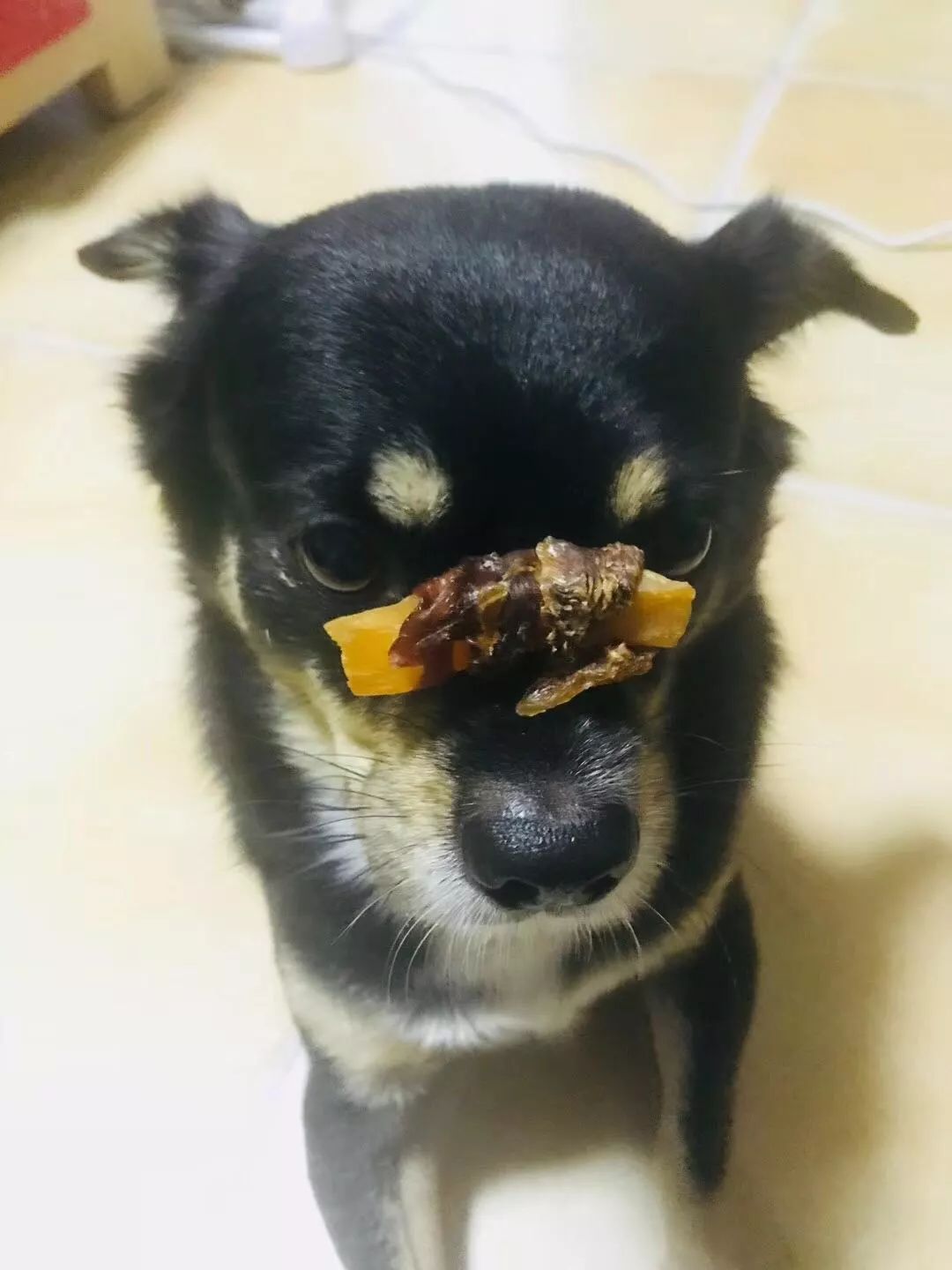 五天成长日记,五个月的宝宝成长日记