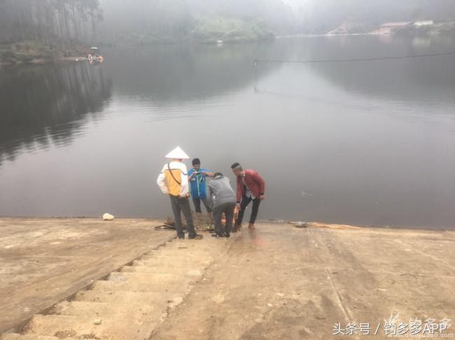 奔横县只为巴西雕，遇降温无奈成掐鲤