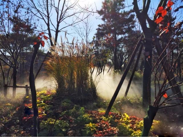 北京四个踏青必备的免费公园,北京小众湿地公园