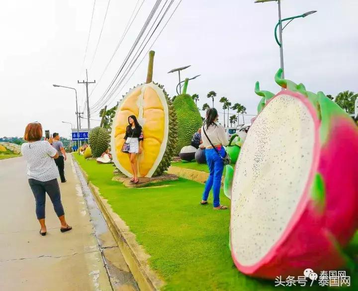 芭提雅东芭乐园和大象村的区别,芭提雅东芭乐园免费路线