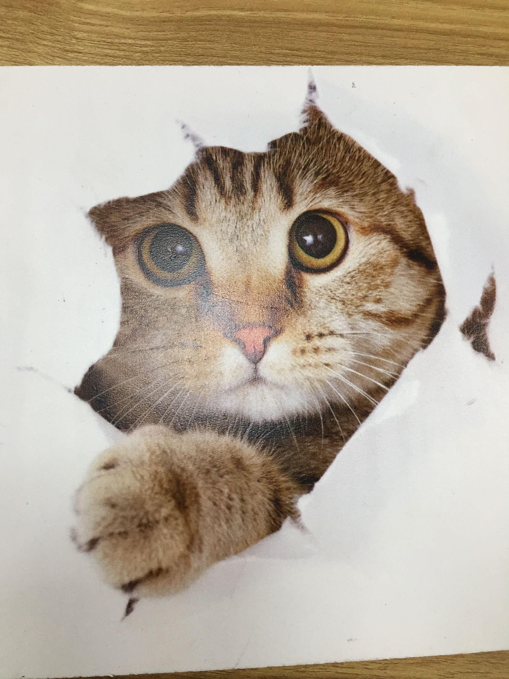 精工理光爱普生,最新理光uv打印机