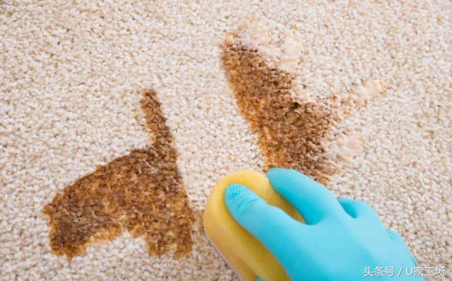 辛辛苦苦花大钱选的昂贵地毯，你竟然都不知道怎么清理？？
