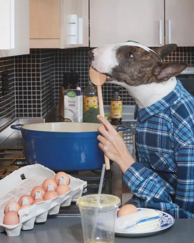 傲娇的老佛爷也要每天看Ta脸色