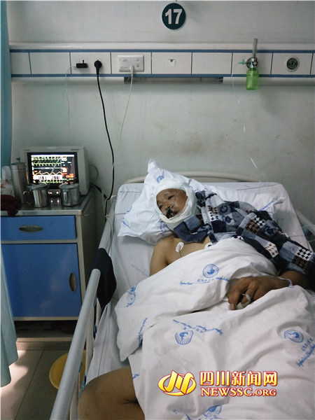 熊出没砍树事件,男子上山采药被熊袭击的视频