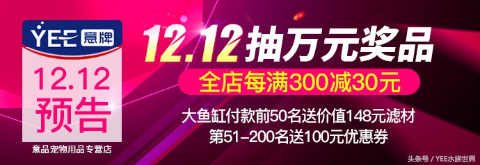 鱼药禁用药有哪些,安全又有效的鱼药