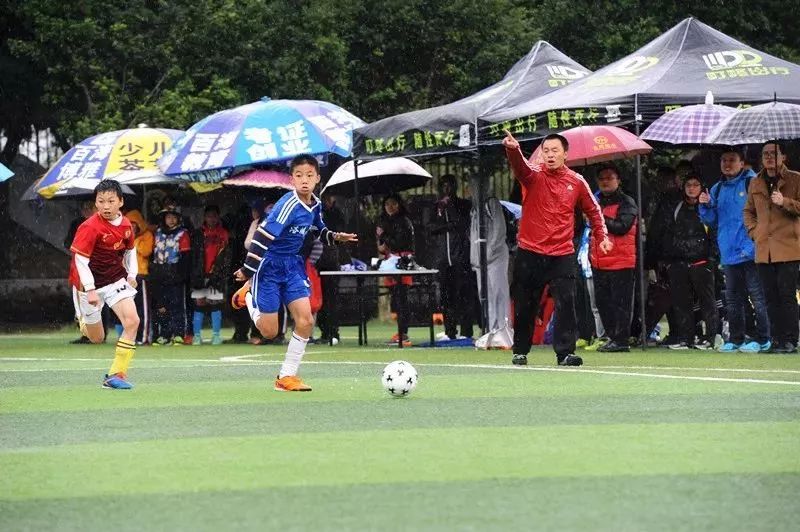 番禺北片最美老师,番禺区十大最美教师