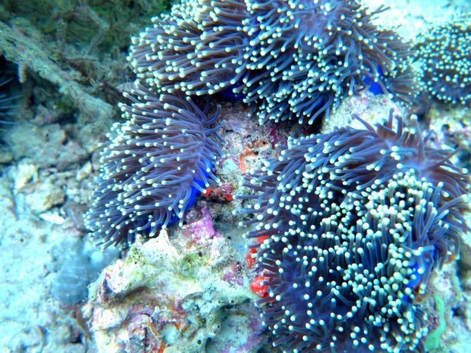 阳光沙滩与海边,阳光与沙滩结局