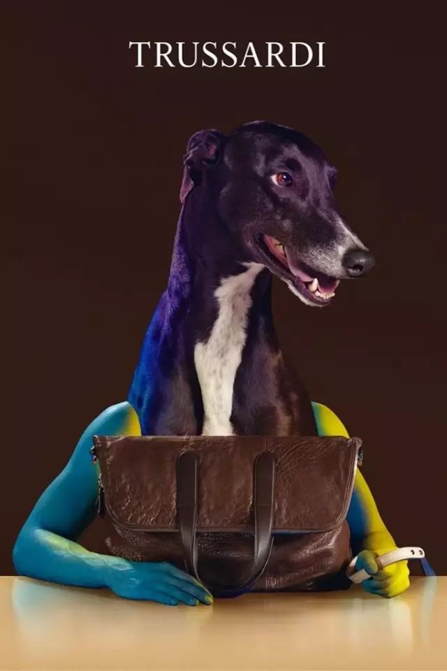 傲娇的老佛爷也要每天看Ta脸色