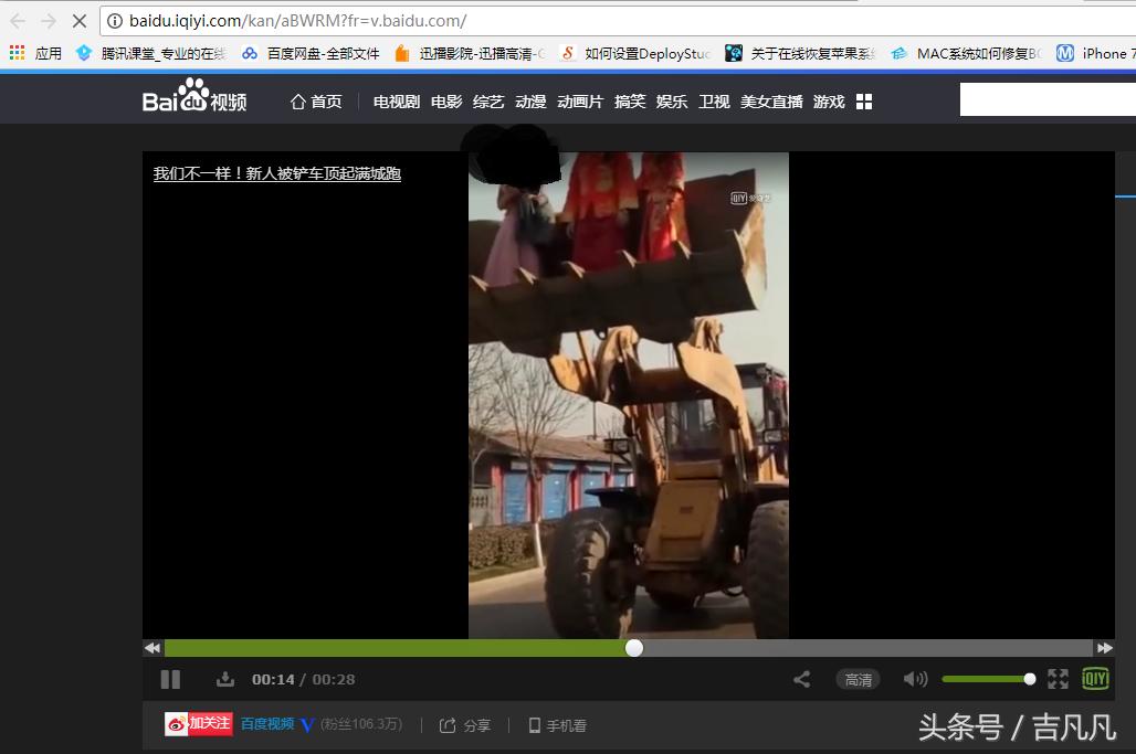 flash停用如何看网页视频,flash网页视频无法播放