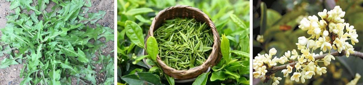 鼻子两边能挤出白色东西的是什么,鼻子脸部挤出白色线状米粒是什么