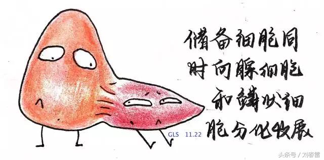 宫颈癌科普知识宣教视频,宫颈癌的科普知识宣传