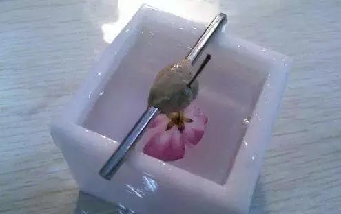 怎么把鲜花做成标本不会枯萎,透明树脂胶怎么制作鲜花标本