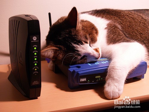 我家wi-fi速度怎么变得很慢了,家里Wi-Fi慢如何设置