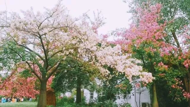 华软科技的趋势,华软科技有多厉害