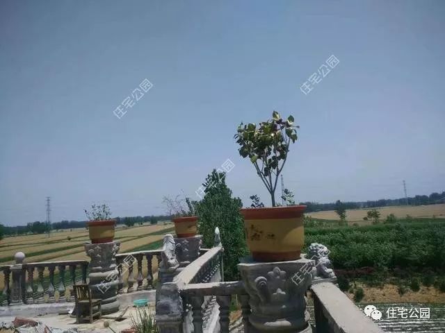 为什么红砖不如土砖,红砖为什么不能拿去盖房子