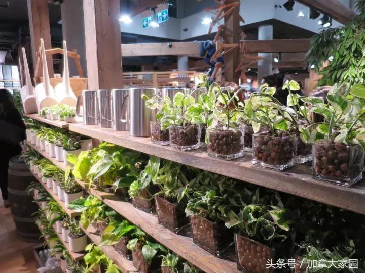 ＂MUJI北美旗舰店＂在温哥华Downtown开业：面积是Metro的一倍！