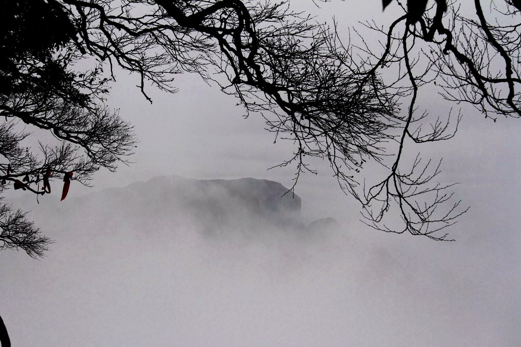 天门山景区观景,天门山生态景区