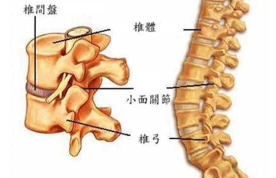 久坐腰痛弯腰腰痛,久坐办公室怎么缓解颈肩腰疼