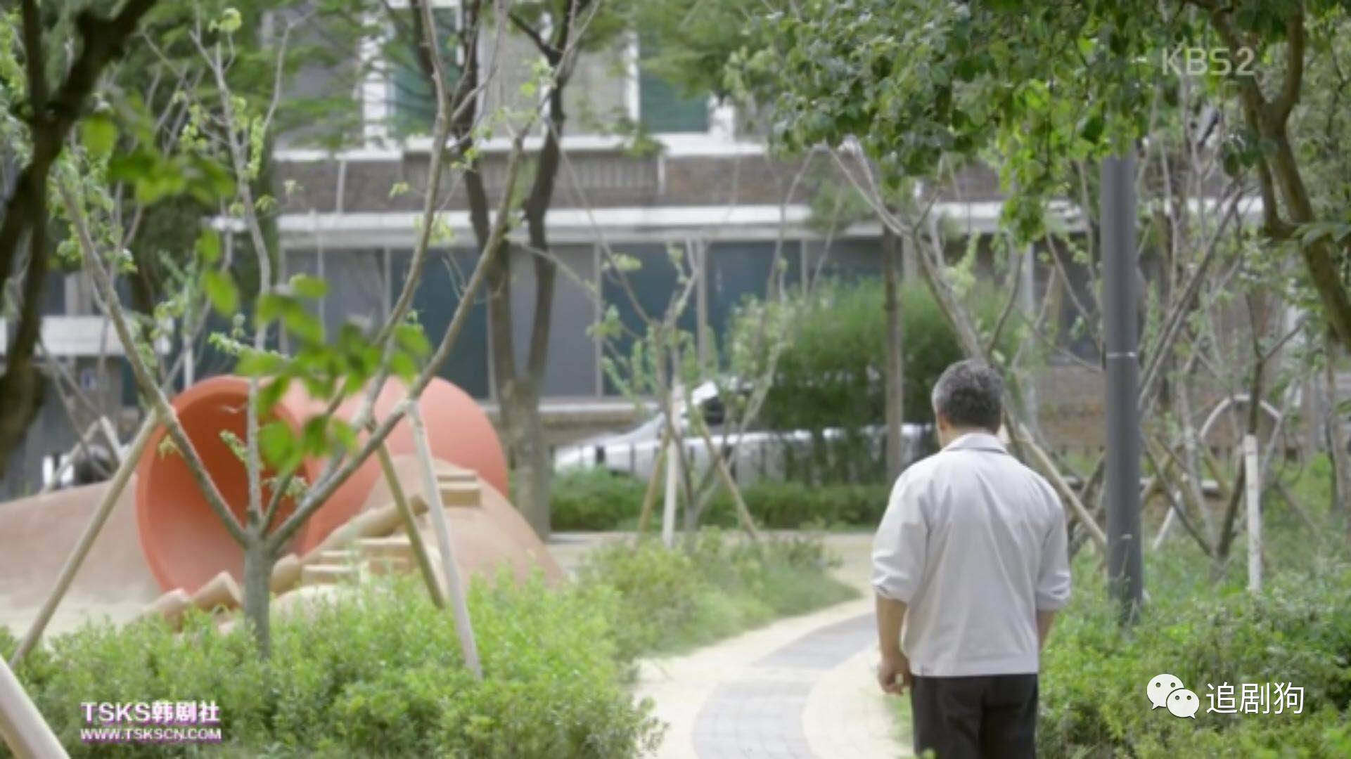 套路中的反套路电视剧,现实中的反转vs狗血剧里的反转