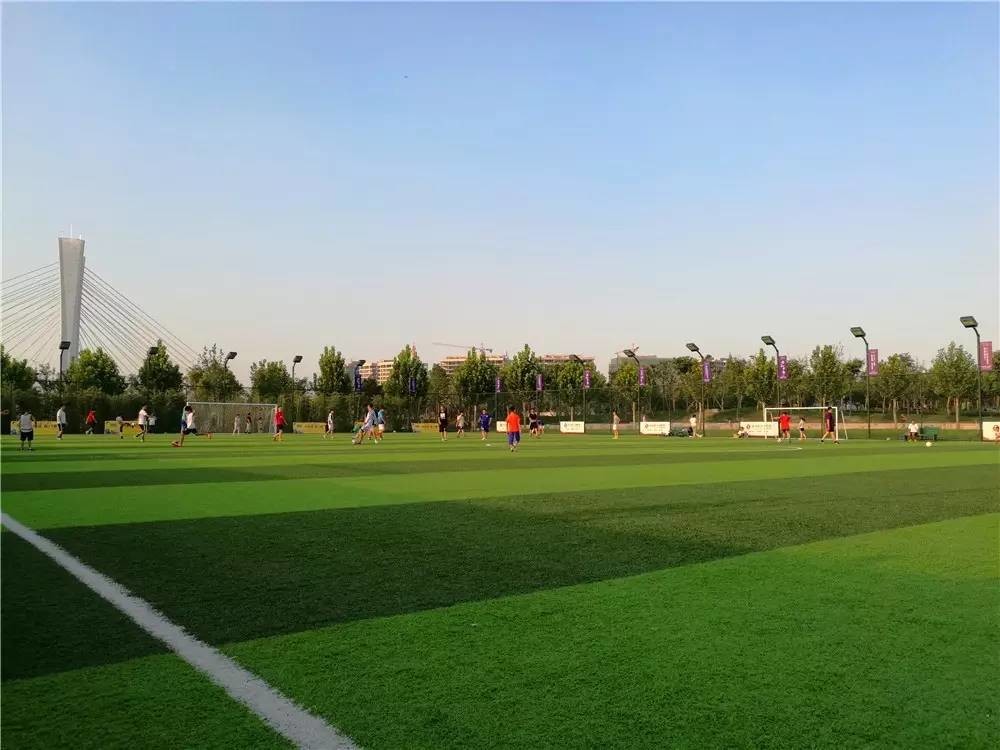 郑州公园推荐免费十一月,郑州免费公园景点推荐