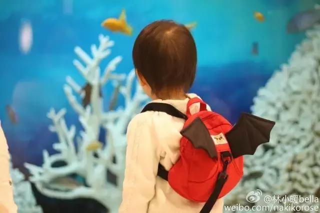 广州长隆亲子游最省钱攻略,广州长隆亲子游最全游玩攻略