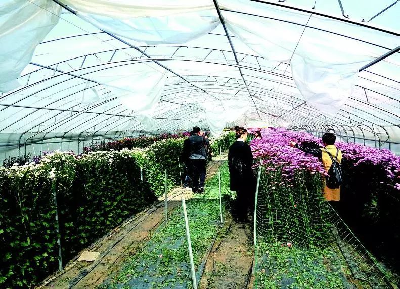 农闲时节充电拓宽致富渠道,农闲时节赚钱忙