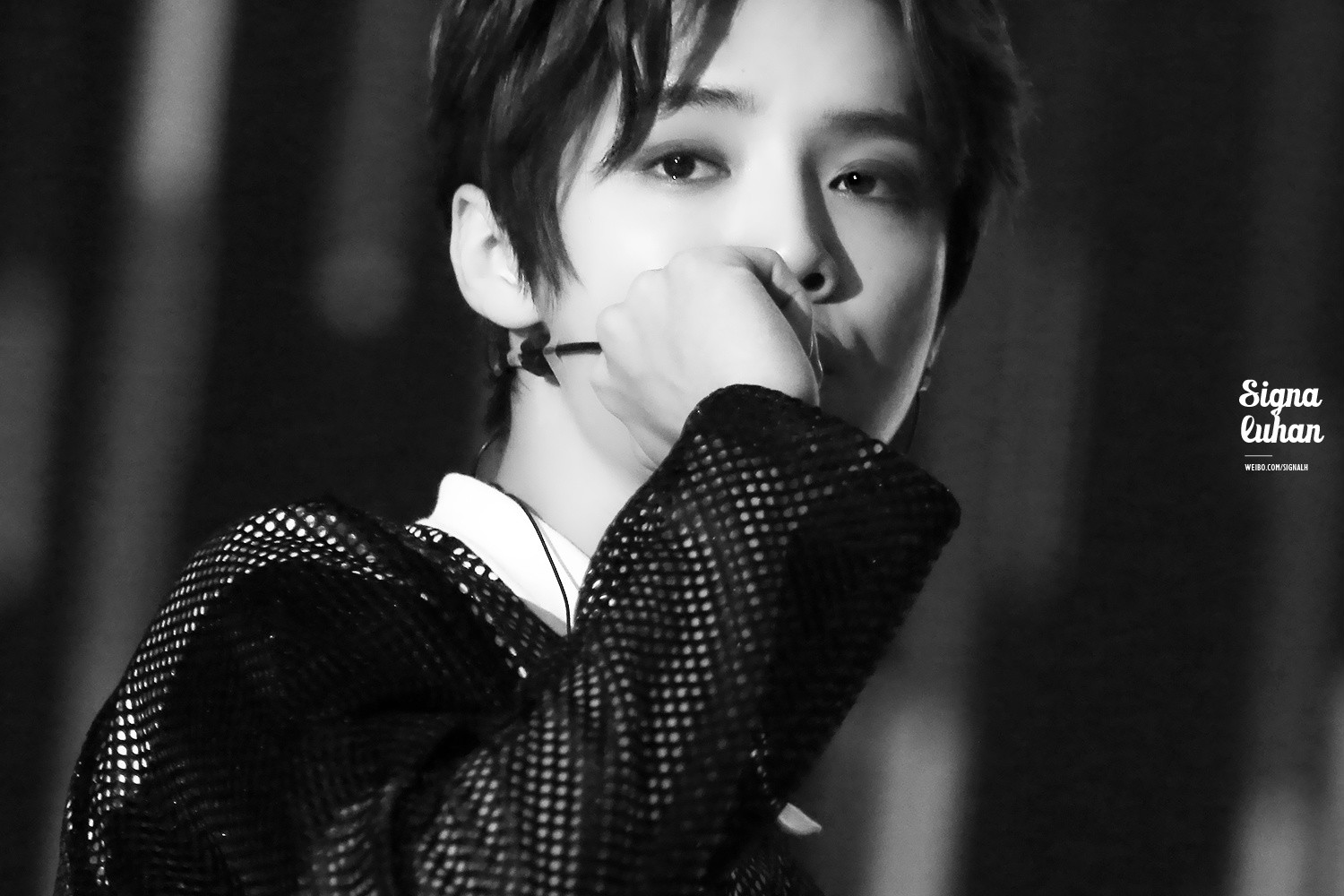 你不一定听到过的歌,鹿晗一首歌七种风格