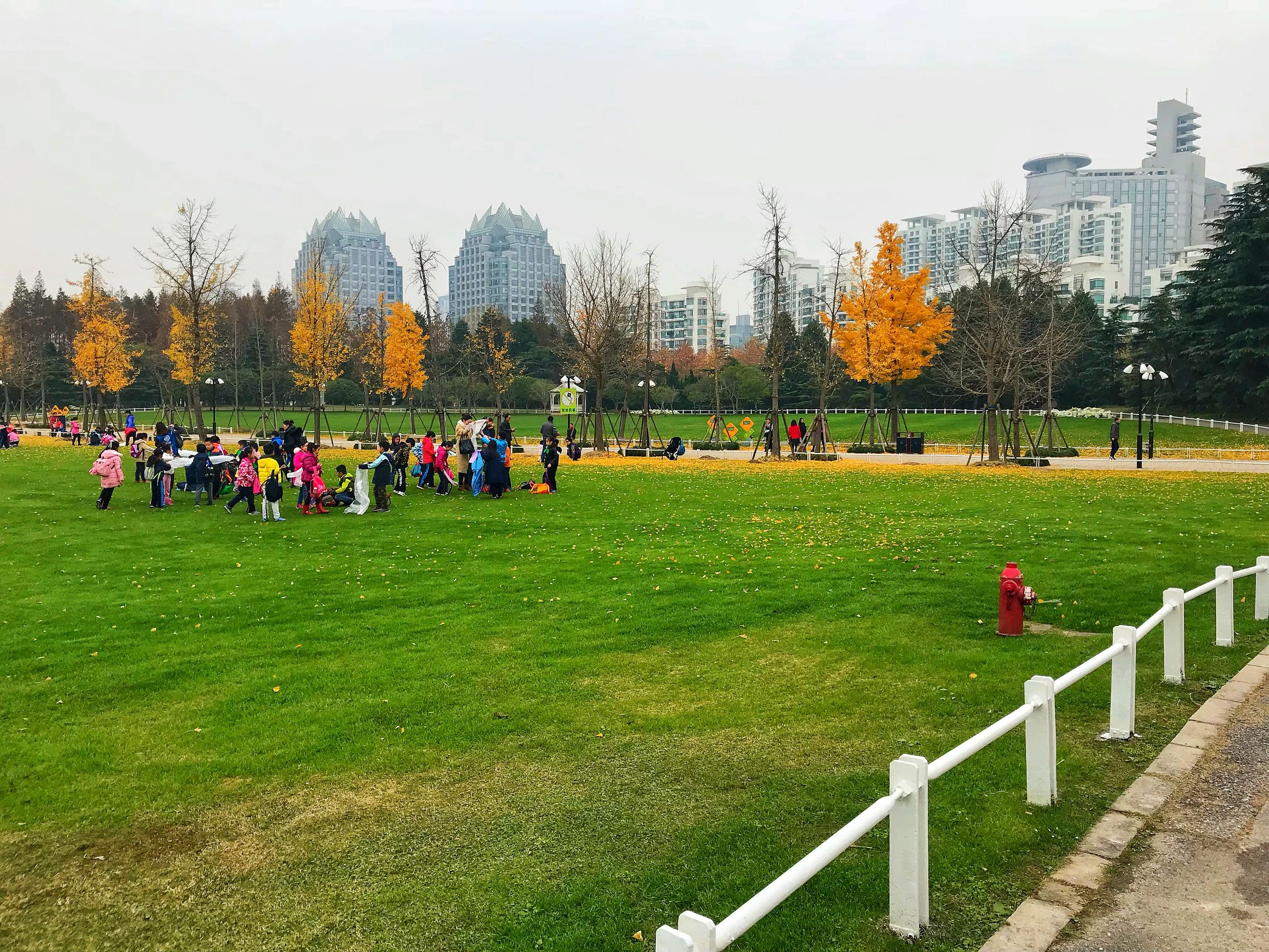 上海浦东世纪公园秋季,上海浦东新区世纪公园