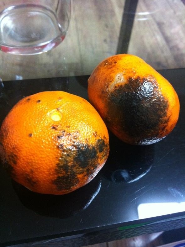 宝宝积食发烧流鼻涕鼻塞咳嗽,宝宝感冒咳嗽腹泻的快速解决方法