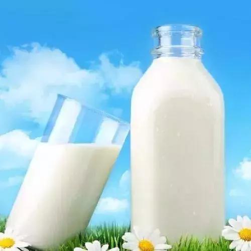 羊奶粉和牛奶粉的区别和营养价值,羊奶粉市场太多了真假难辨