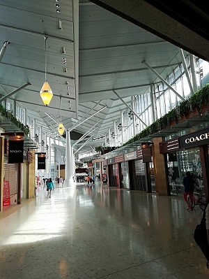 胖丫儿疯行记,2017一起香港吧（败家篇）