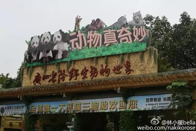 两大一小广州长隆亲子游攻略,最新广州长隆带娃游玩攻略2天