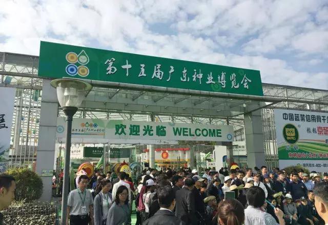 2023住博会,住博会广州