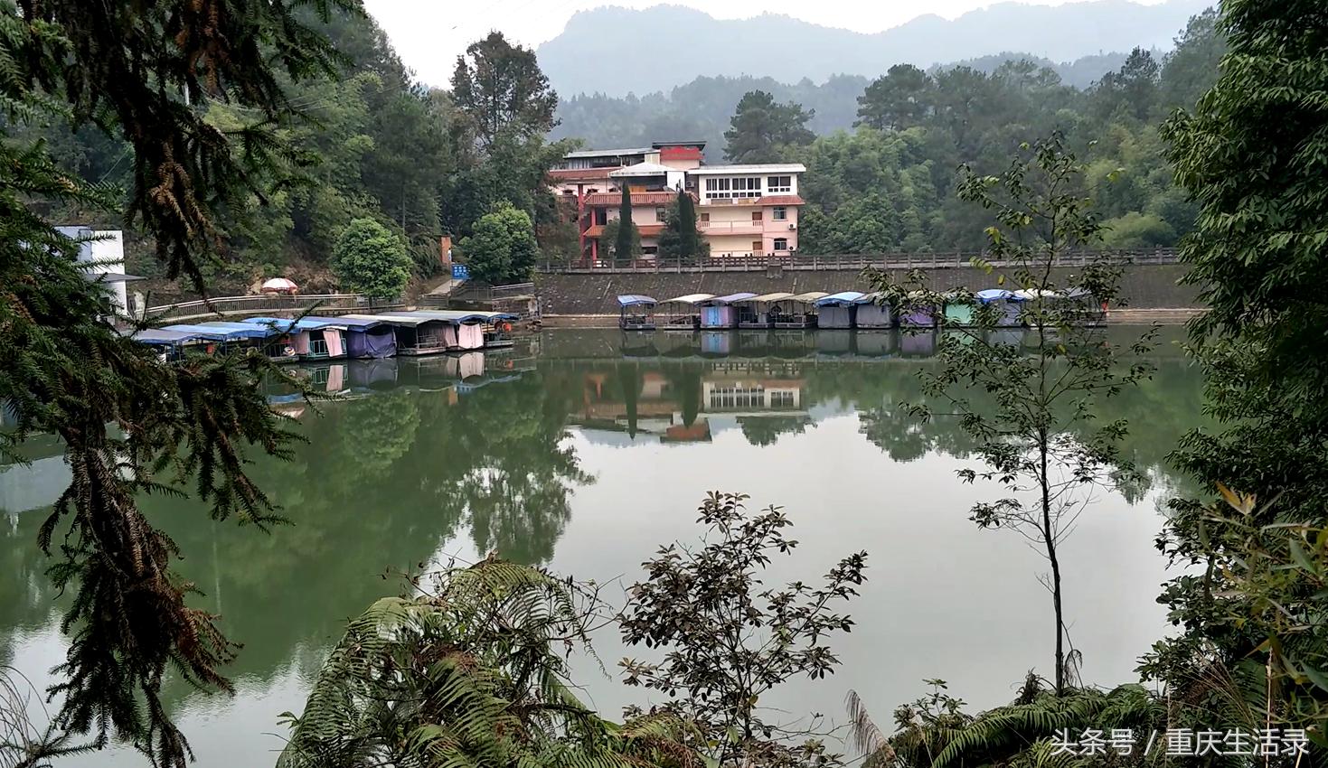 重庆璧山风景区,璧山森林公园风景区介绍