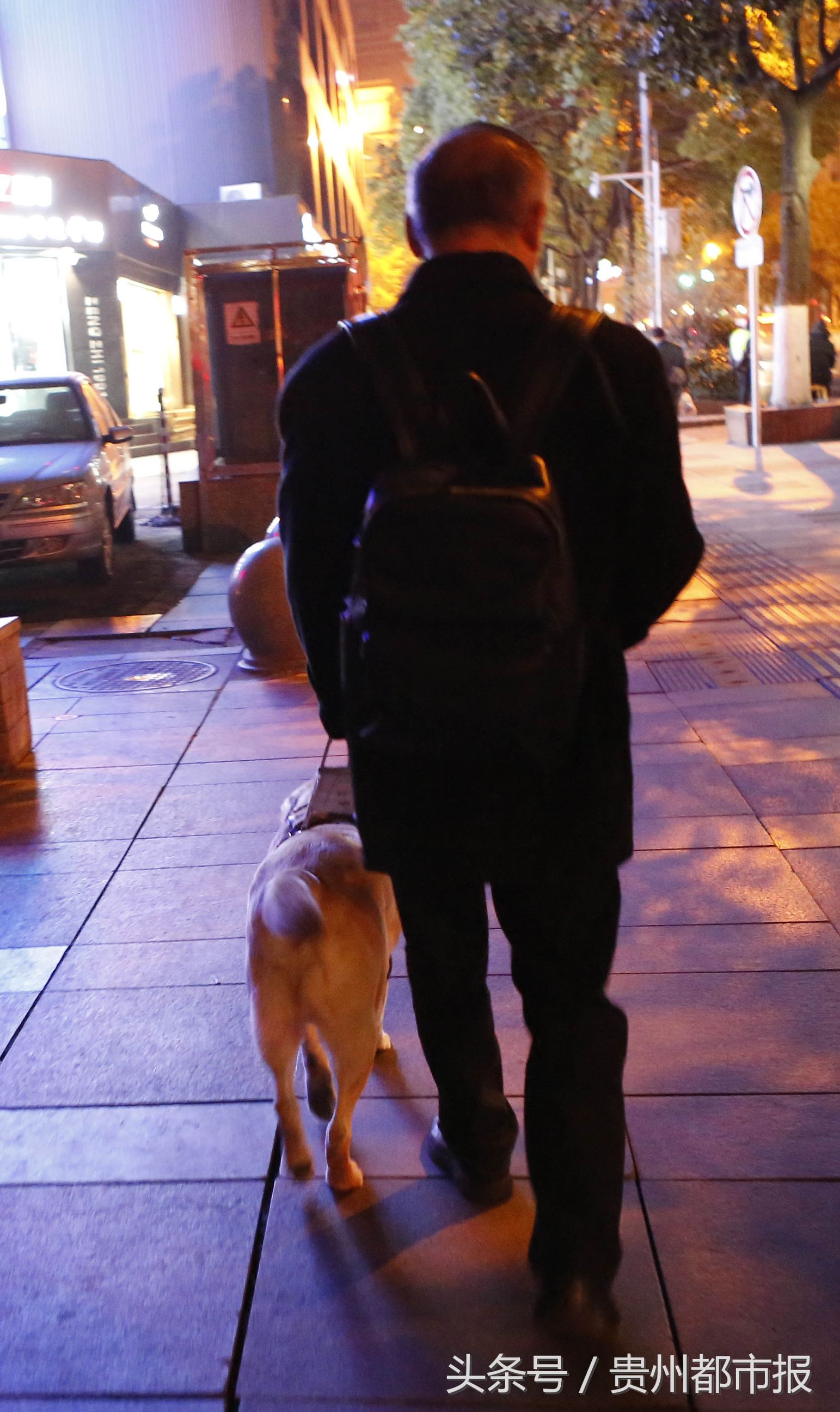 全球第一只导盲犬,史努比是第一只上太空的狗狗