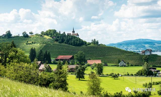 葡萄酒行业深度报告：探底逐步完成，静待行业重回增长