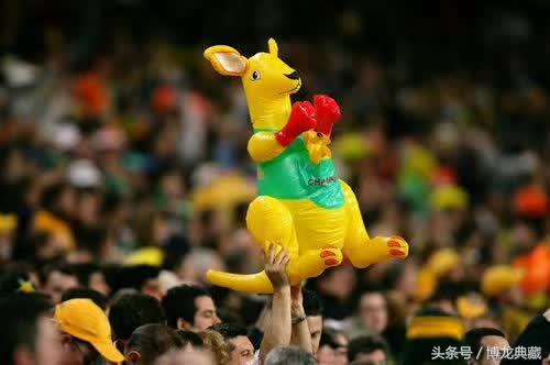 来！聊聊世界杯战场上的“飞禽走兽”们